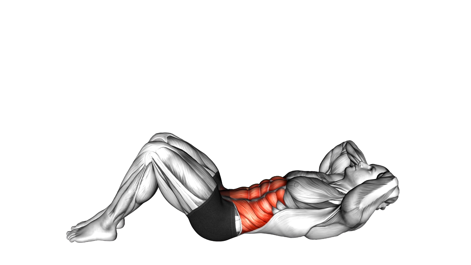 3 4 Sit up exercise demonstration
