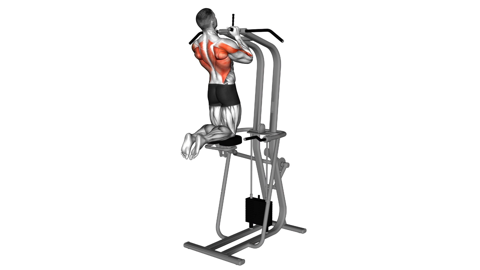 Assisted Parallel Close Grip Pull up exercise demonstration