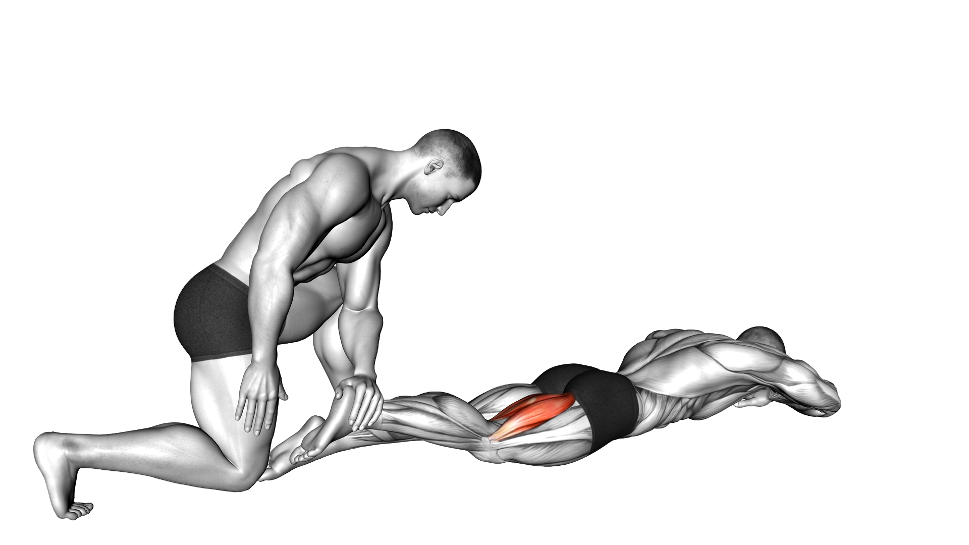 Assisted Prone Hamstring exercise demonstration