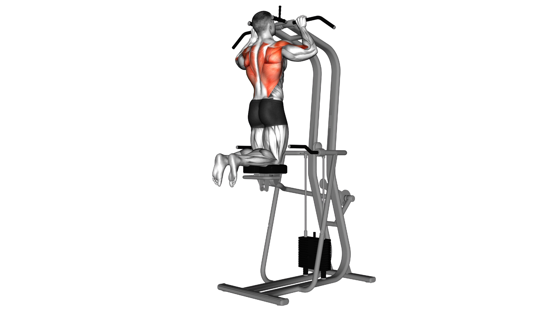 Assisted Pull up exercise demonstration