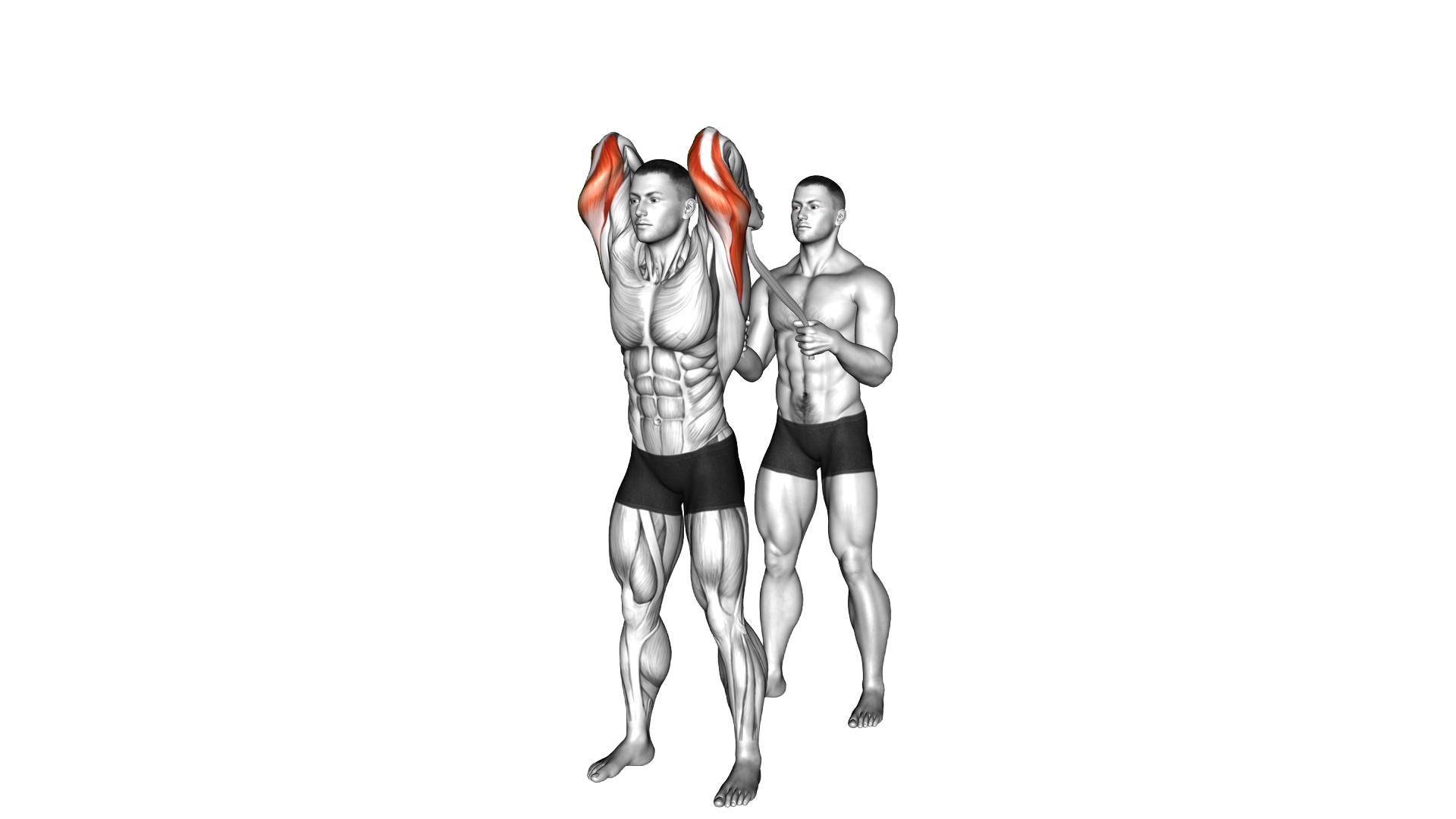 Assisted Standing Triceps Extension (with towel) exercise demonstration