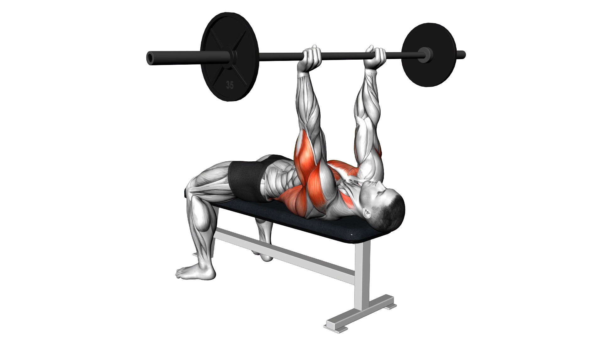 Barbell Pullover To Press exercise demonstration