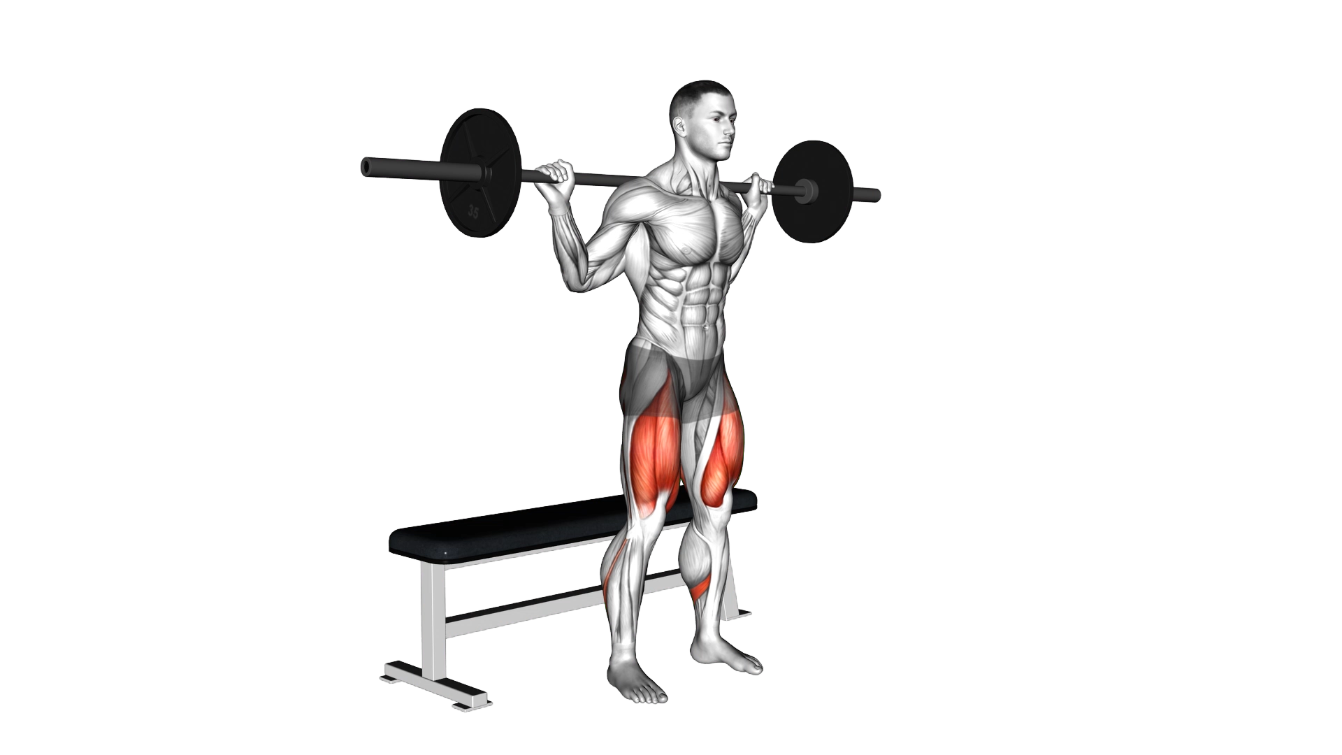 Barbell Bench Squat exercise demonstration