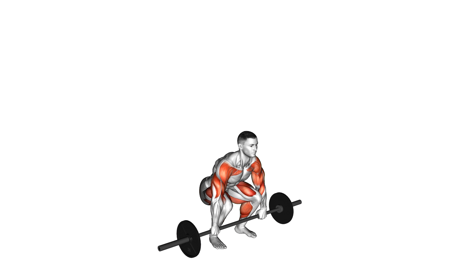 Barbell Clean and Press exercise demonstration