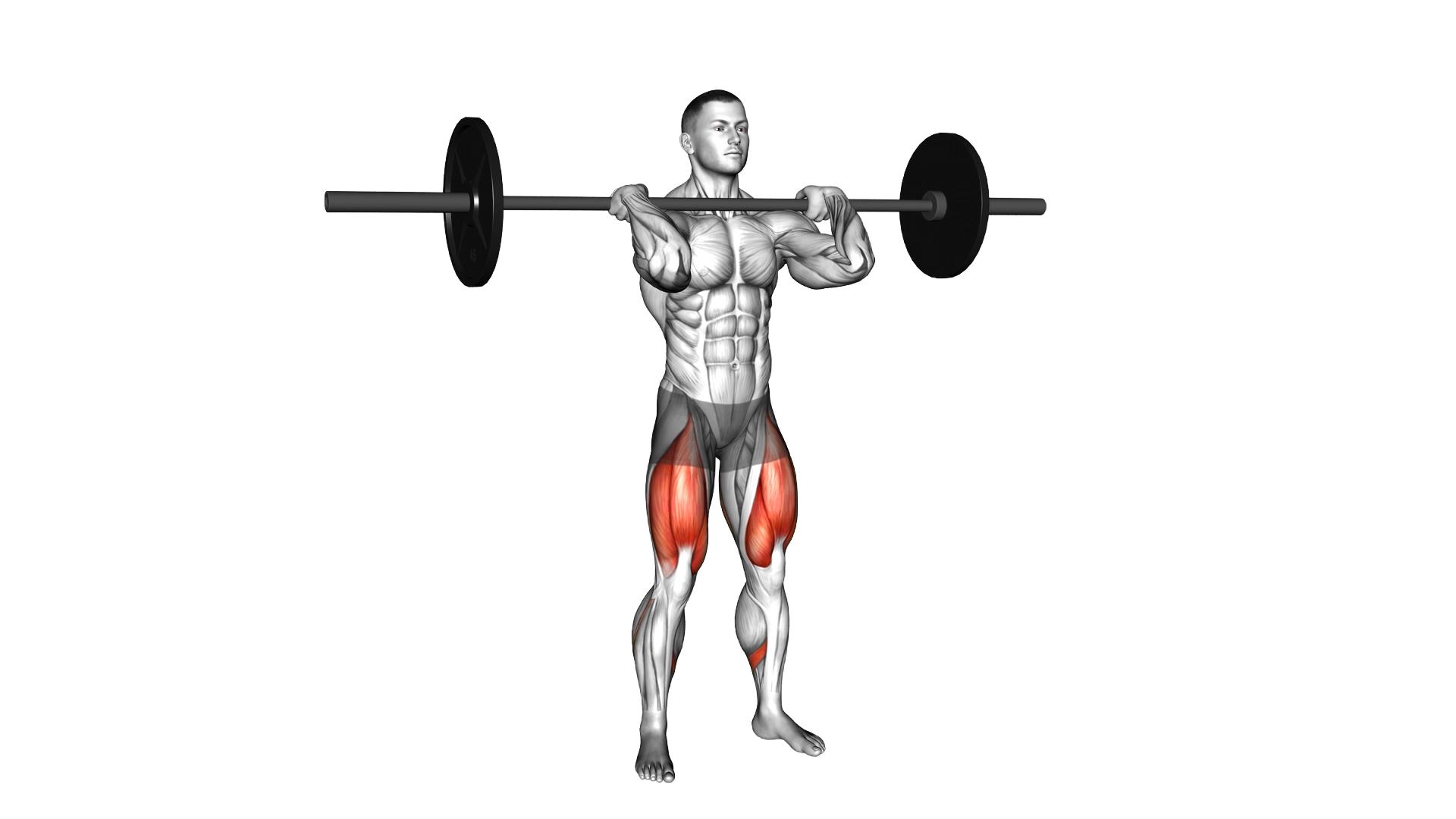 Barbell Clean grip Front Squat exercise demonstration