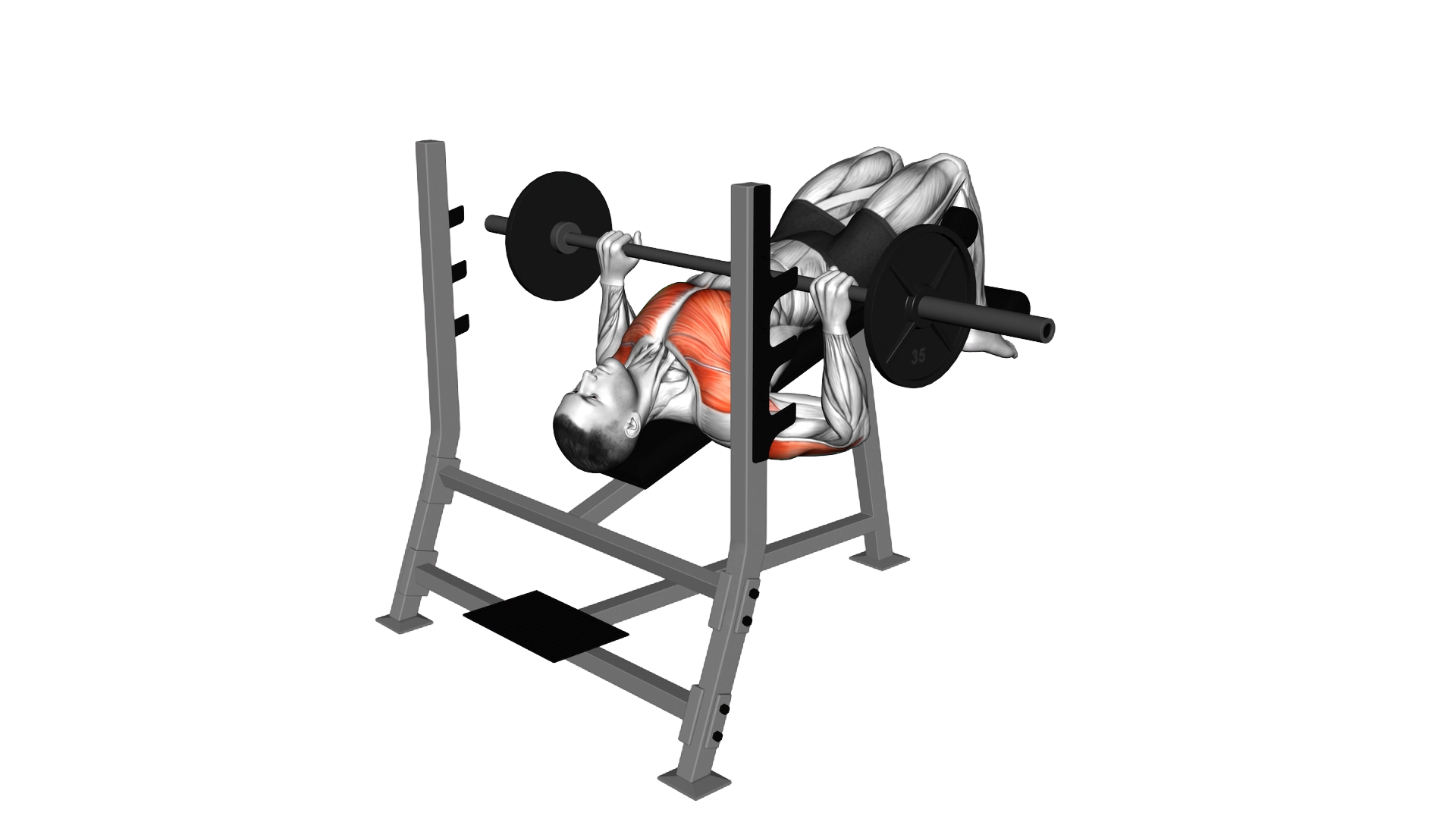 Barbell Decline Bench Press exercise demonstration
