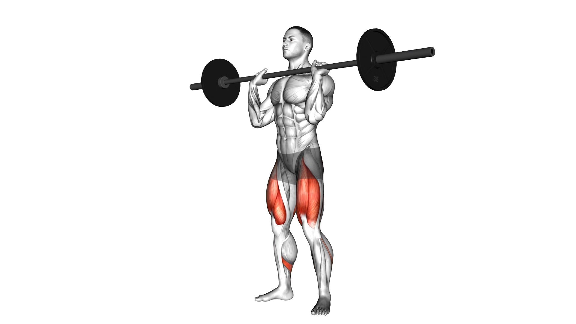 Barbell Front Chest Squat exercise thumbnail