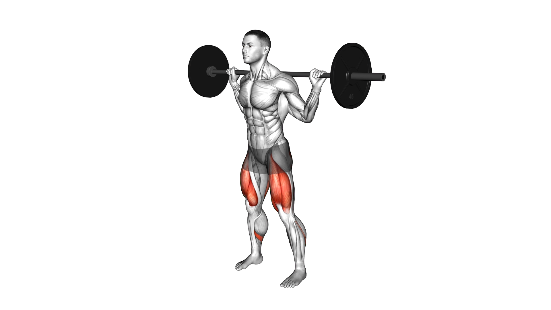 Barbell Full Squat exercise demonstration
