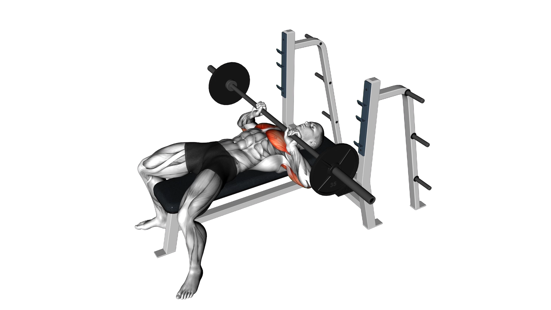 Barbell Guillotine Bench Press exercise demonstration