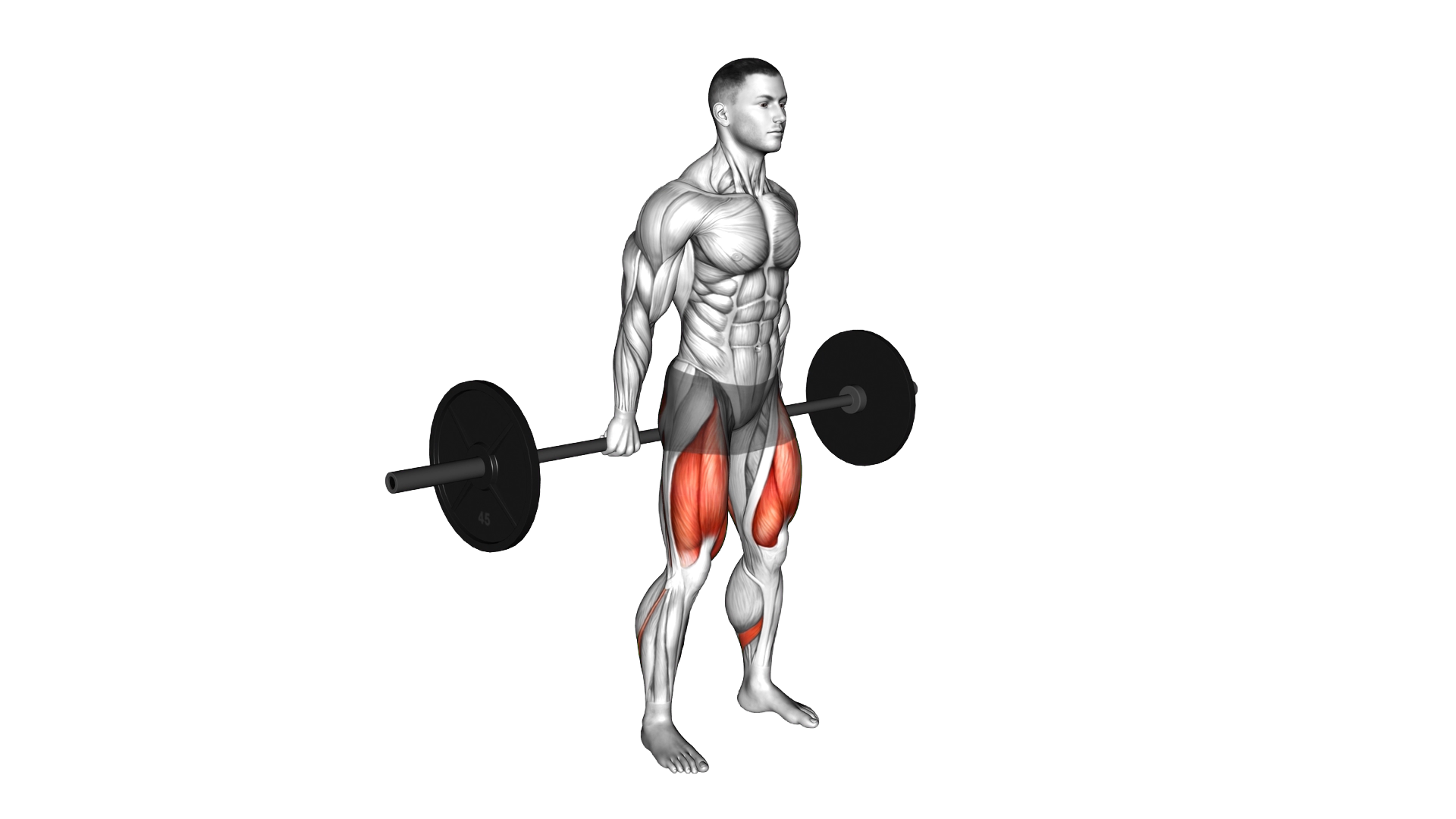 Barbell Hack Squat exercise demonstration