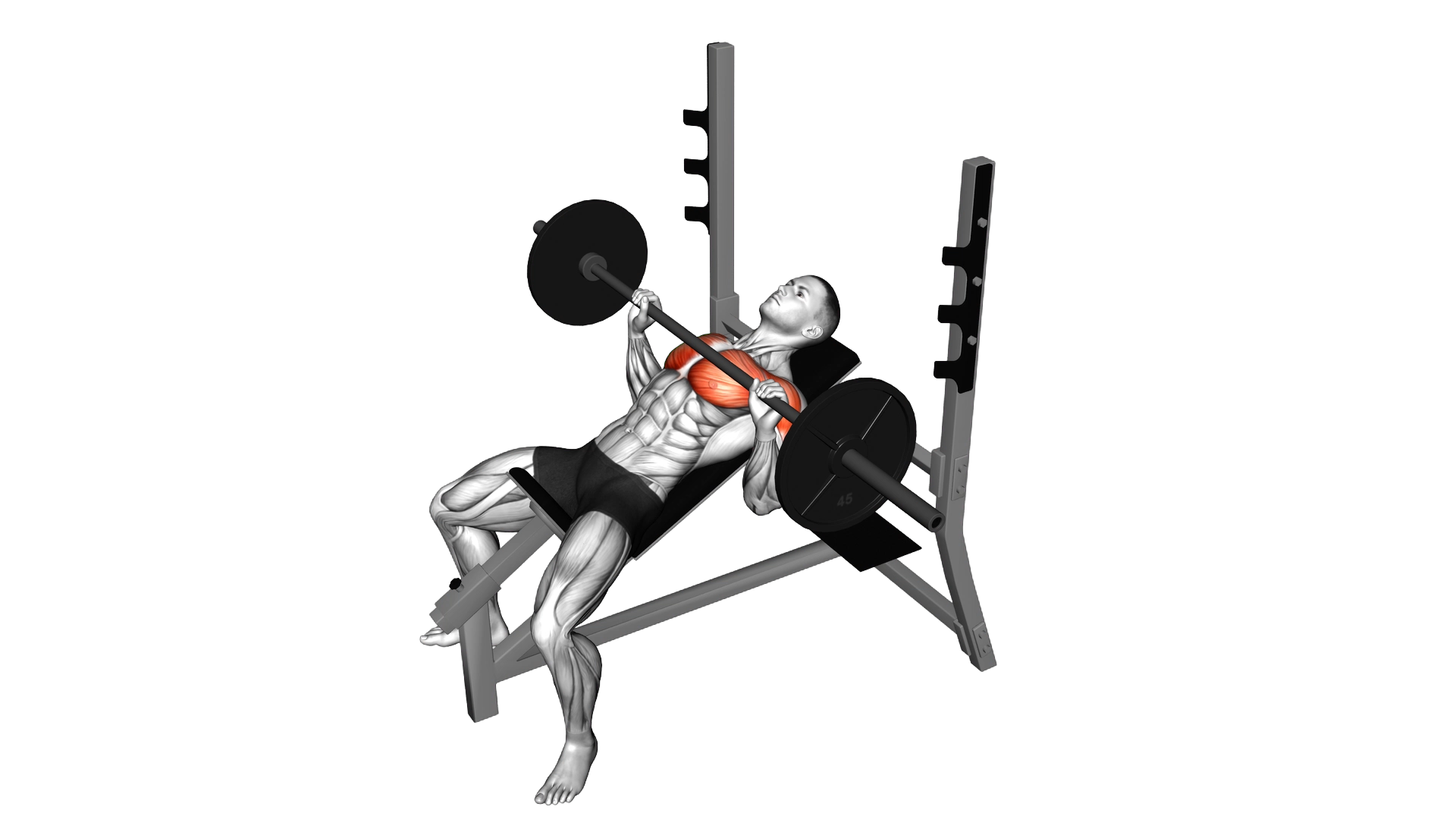 Barbell Incline Bench Press exercise demonstration