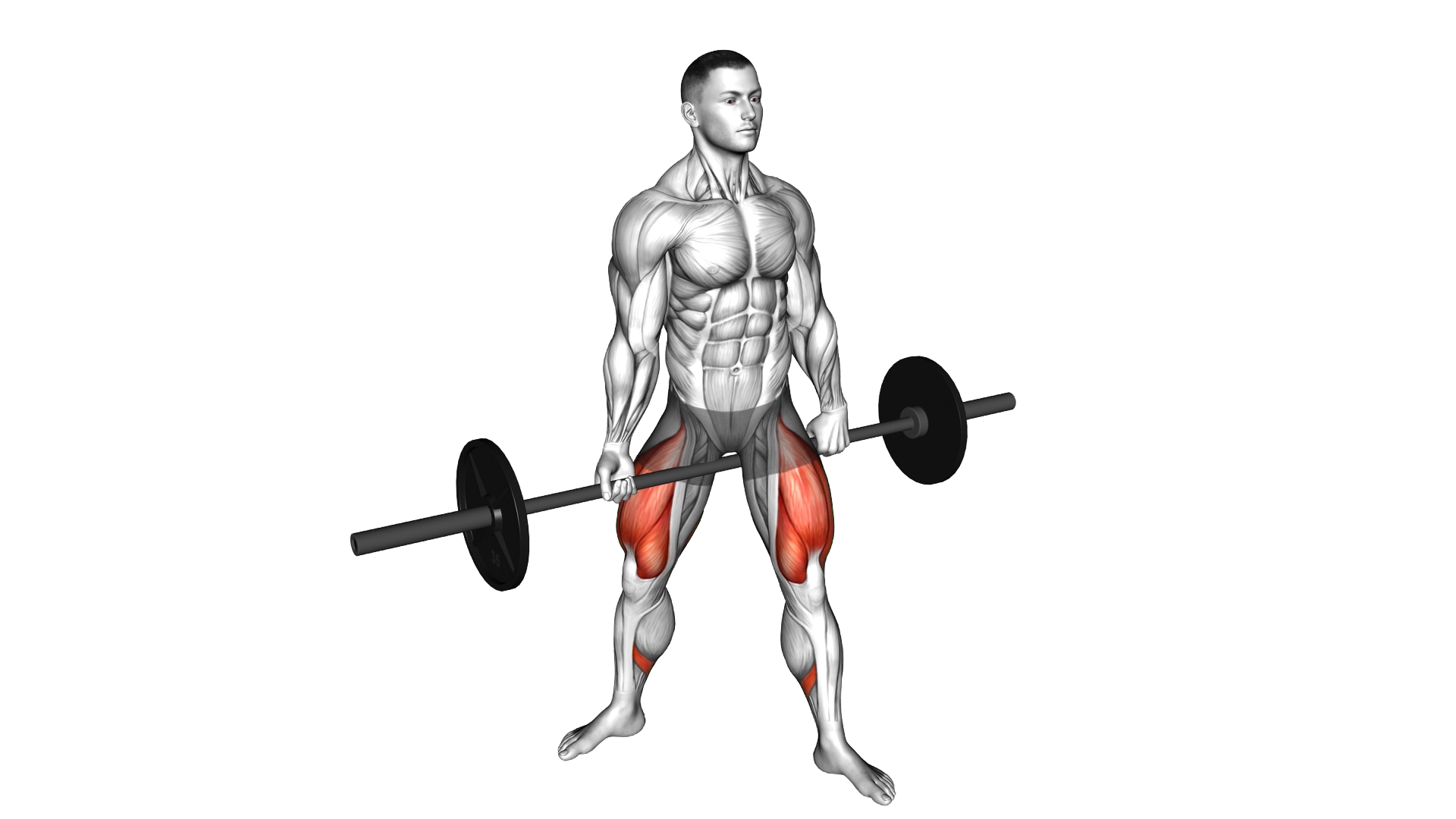 Barbell Jefferson Squat exercise demonstration