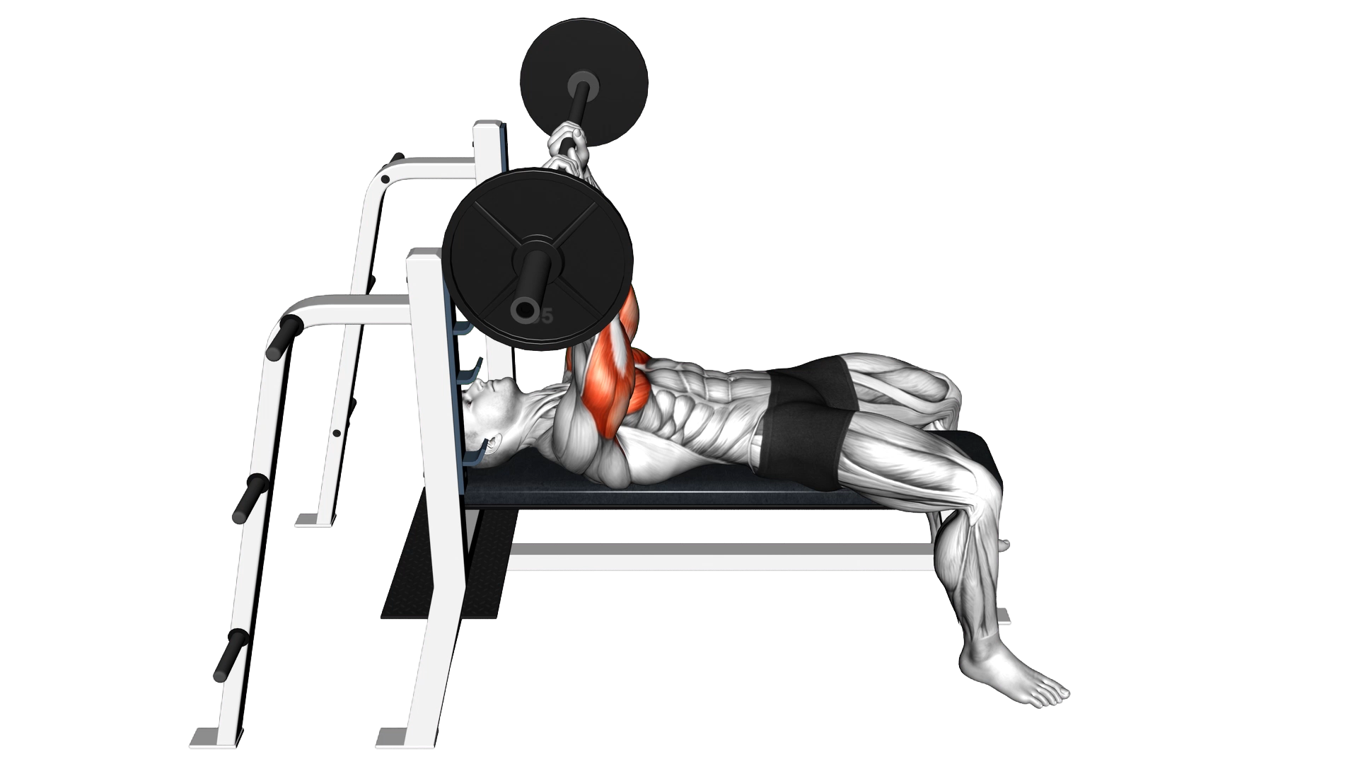 Barbell JM Bench Press exercise demonstration