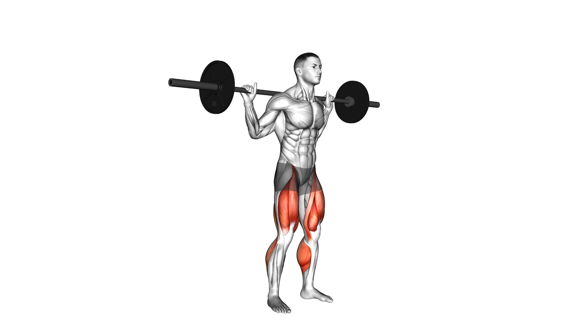 Barbell Jump Squat exercise demonstration