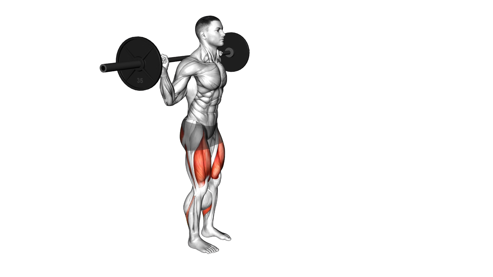 Barbell Lunge exercise demonstration