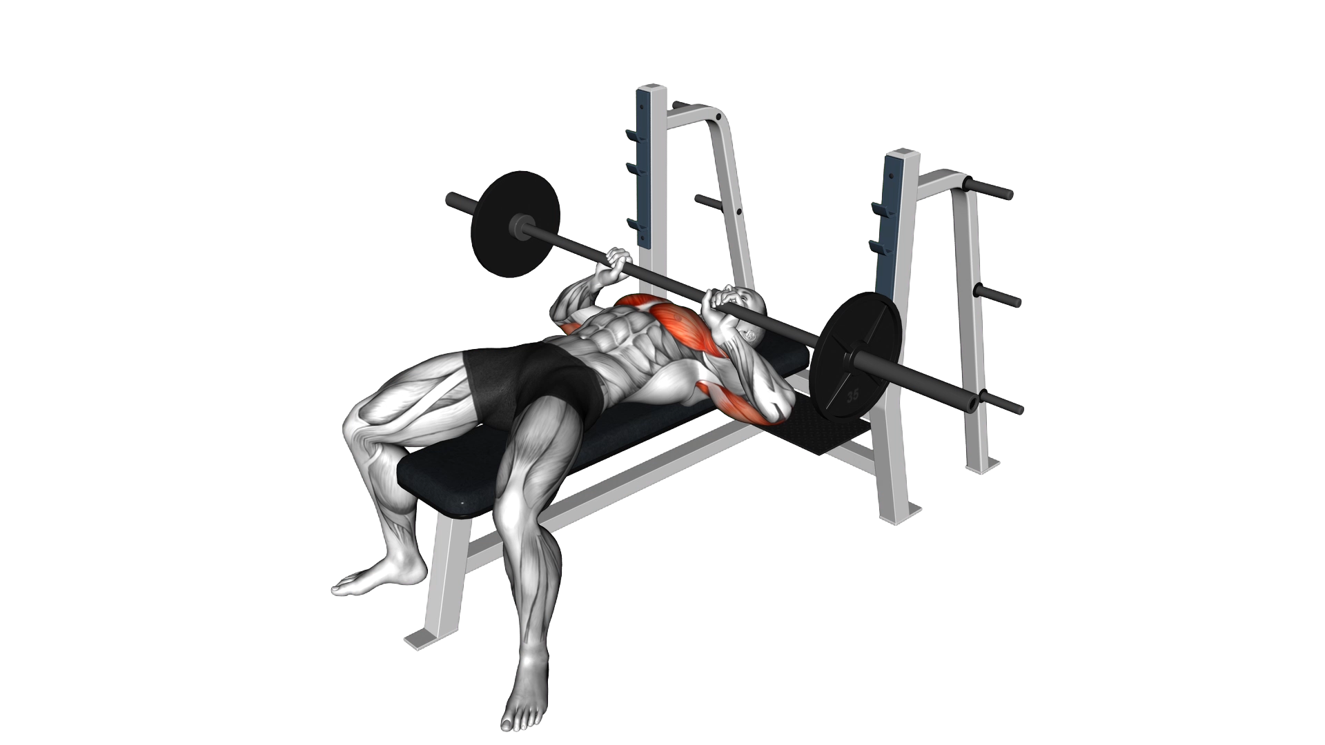 Barbell Lying Close grip Press exercise demonstration