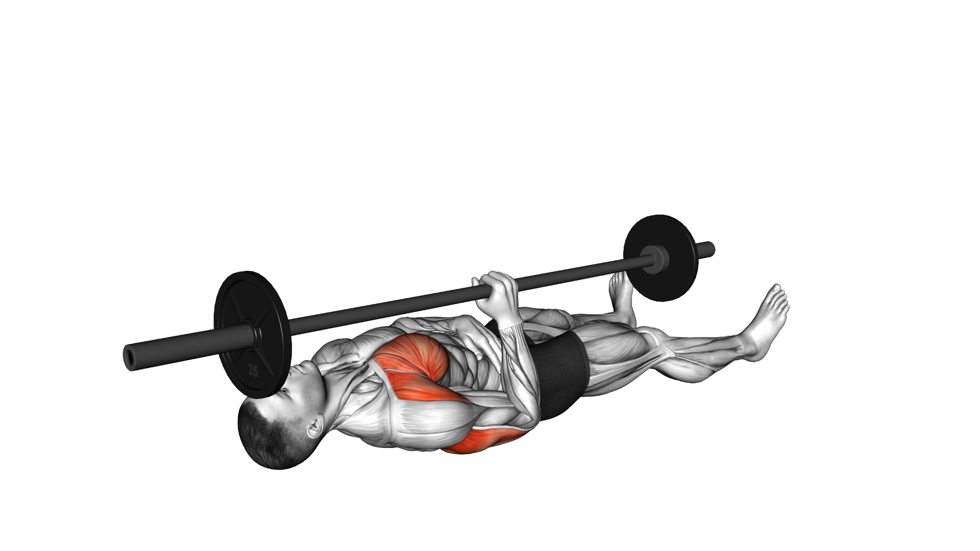 Barbell One Arm Floor Press exercise demonstration
