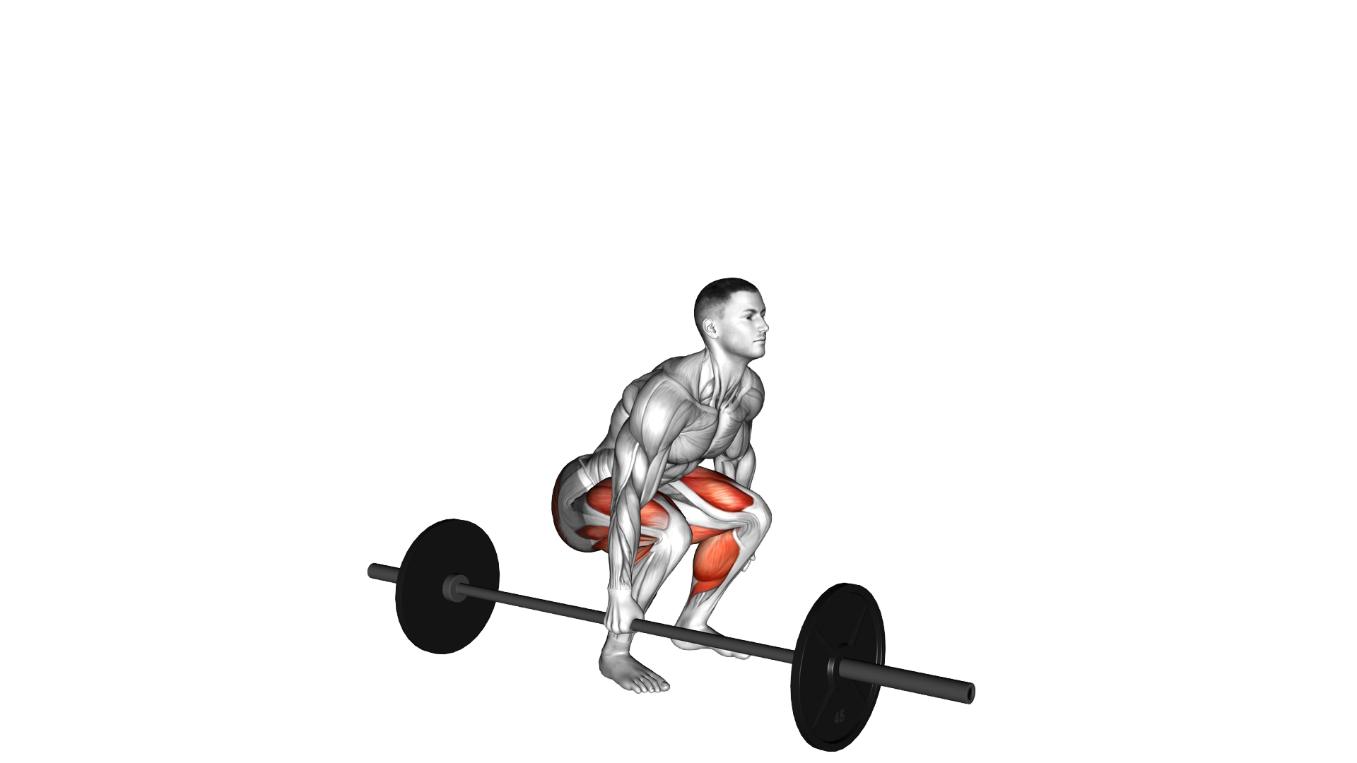Barbell One Arm Side Deadlift exercise demonstration