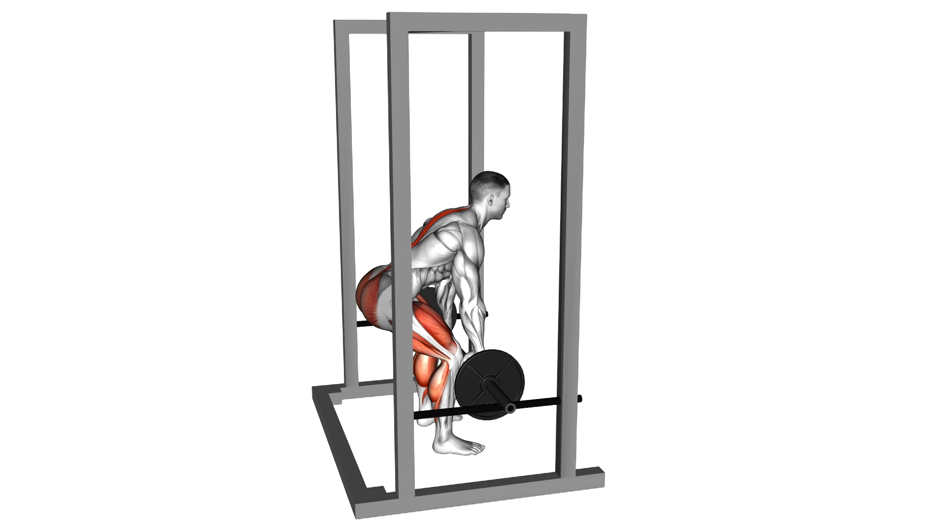Barbell Rack Pull exercise thumbnail