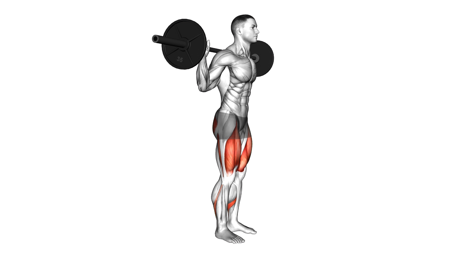 Barbell Rear Lunge exercise demonstration
