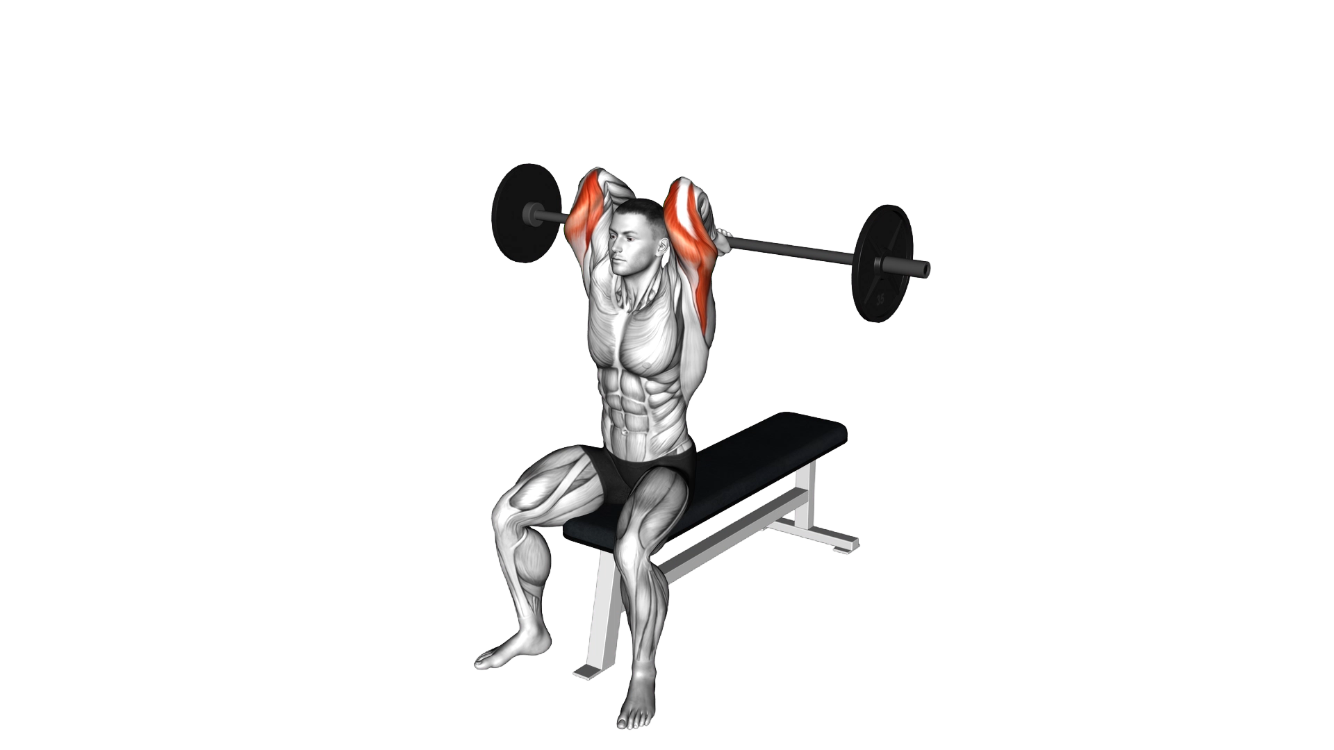Barbell Seated Overhead Triceps Extension exercise demonstration
