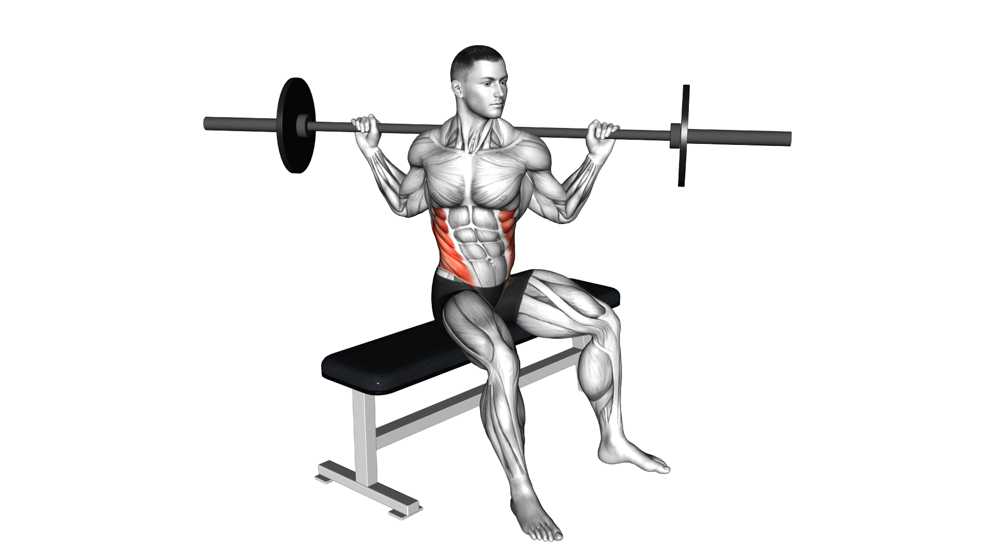Barbell Seated Twist exercise demonstration