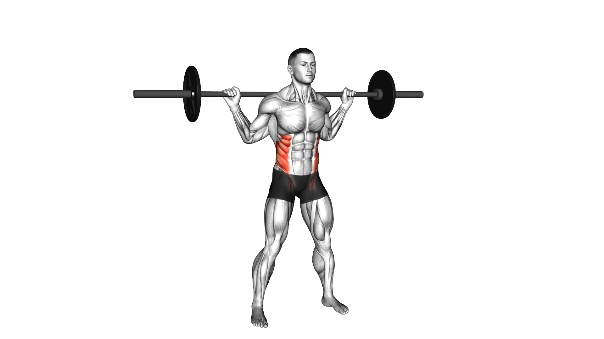Barbell Side Bent exercise demonstration