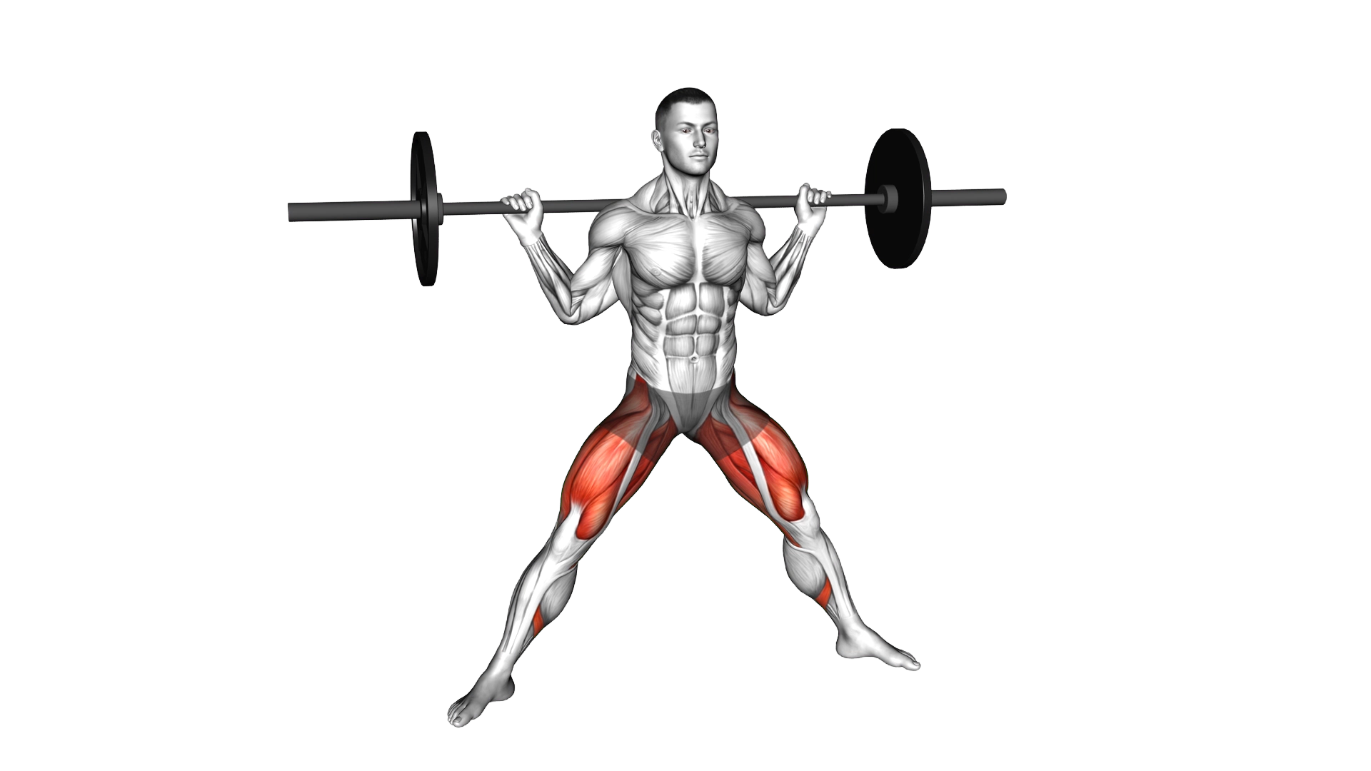 Barbell Side Split Squat exercise demonstration
