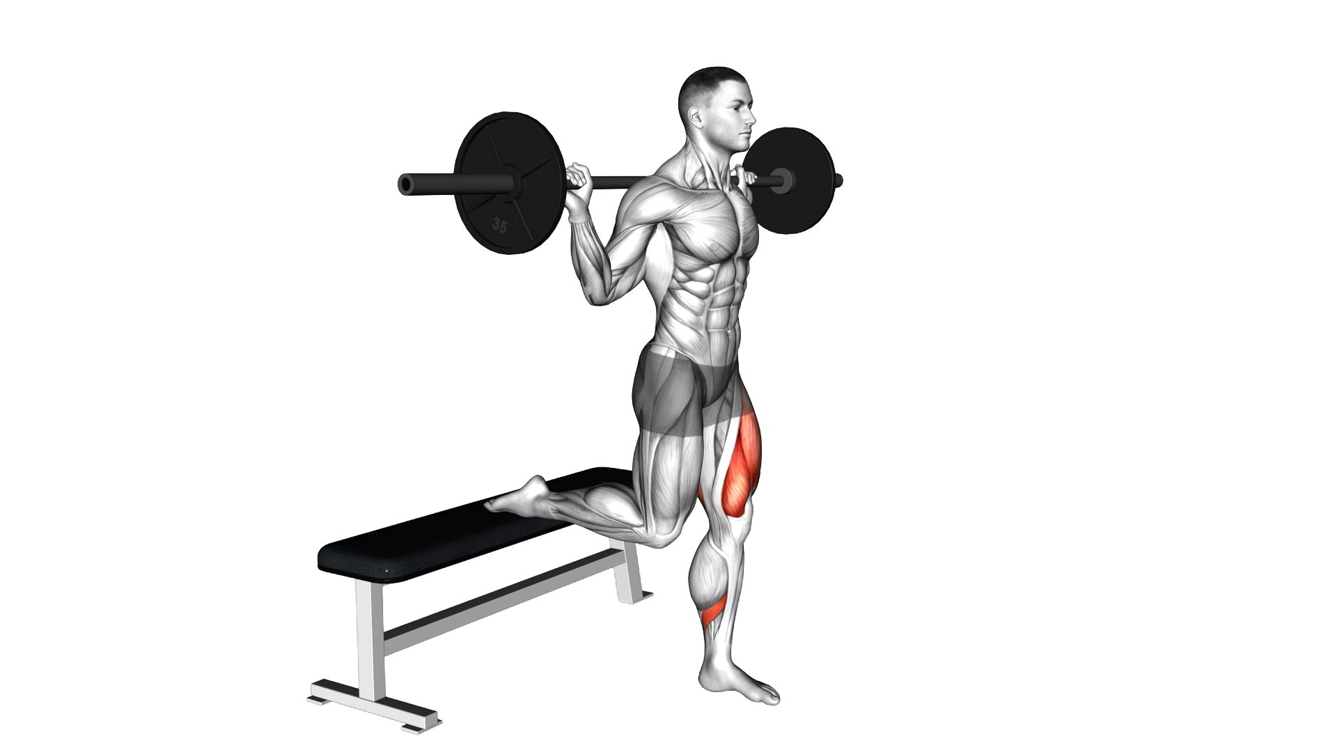 Barbell Single Leg Split Squat exercise thumbnail
