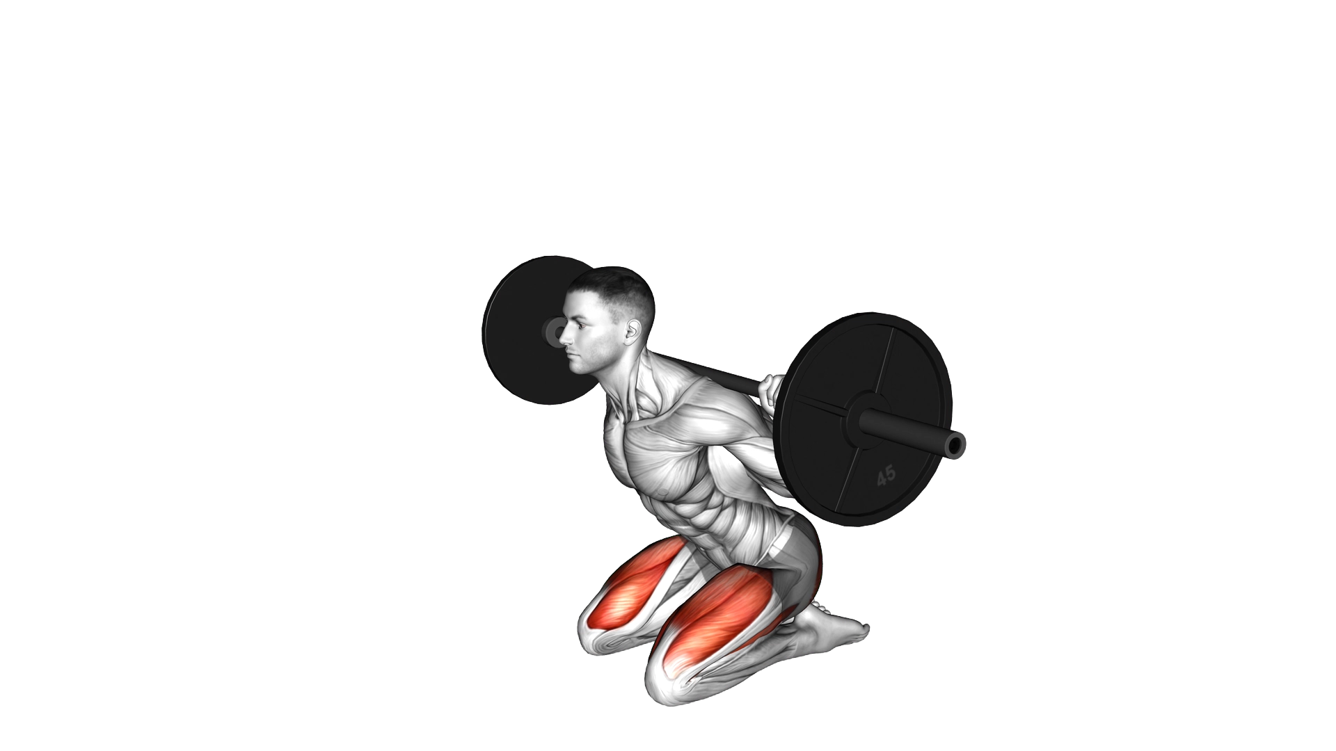 Barbell Squat (on knees) exercise demonstration