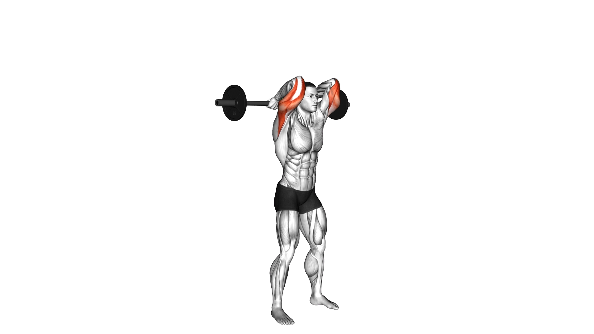 Barbell Standing Overhead Triceps Extension exercise demonstration
