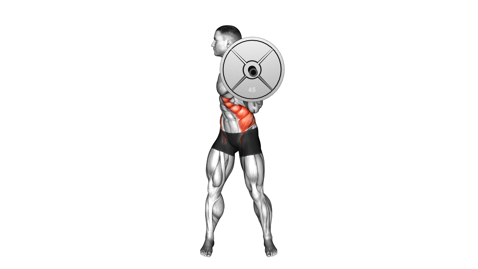 Barbell Standing Twist exercise demonstration