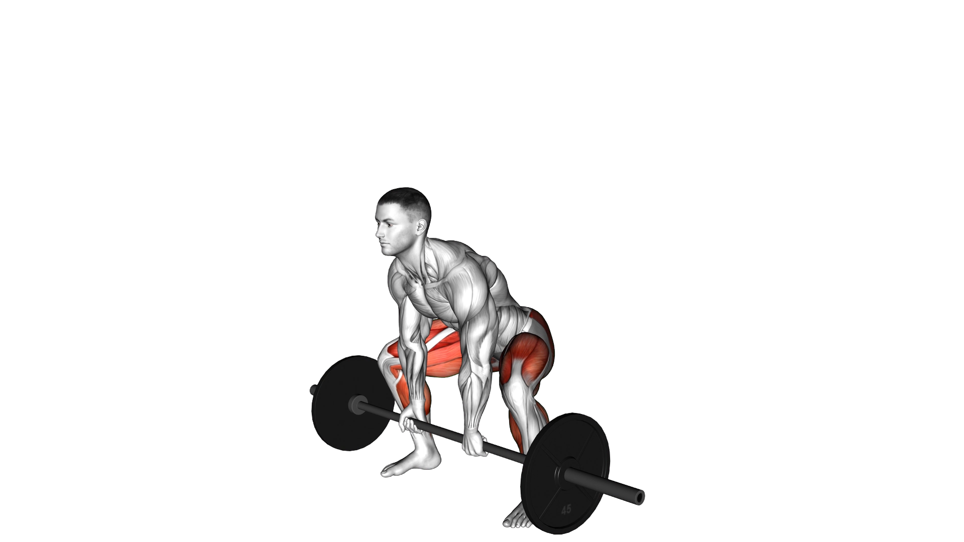 Barbell Sumo Deadlift exercise demonstration