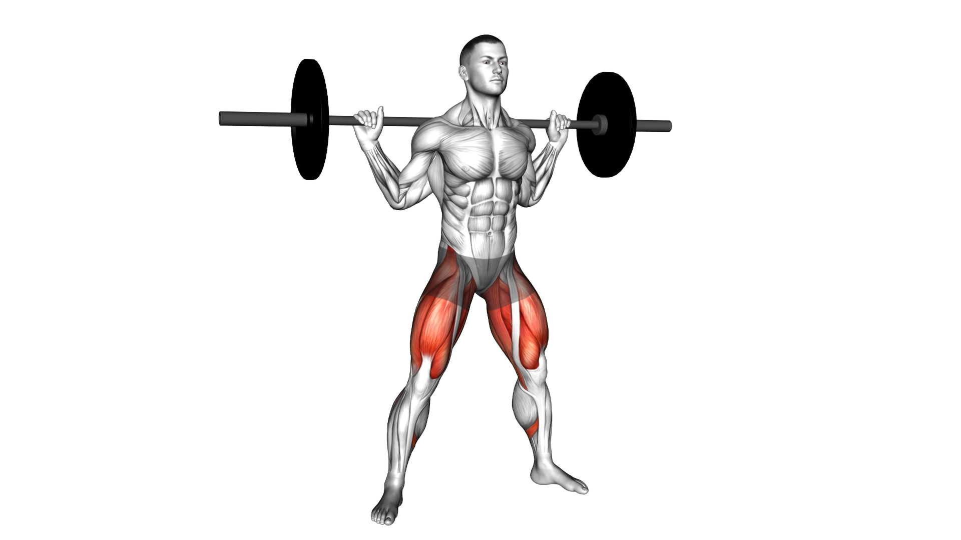 Barbell Wide Squat exercise demonstration