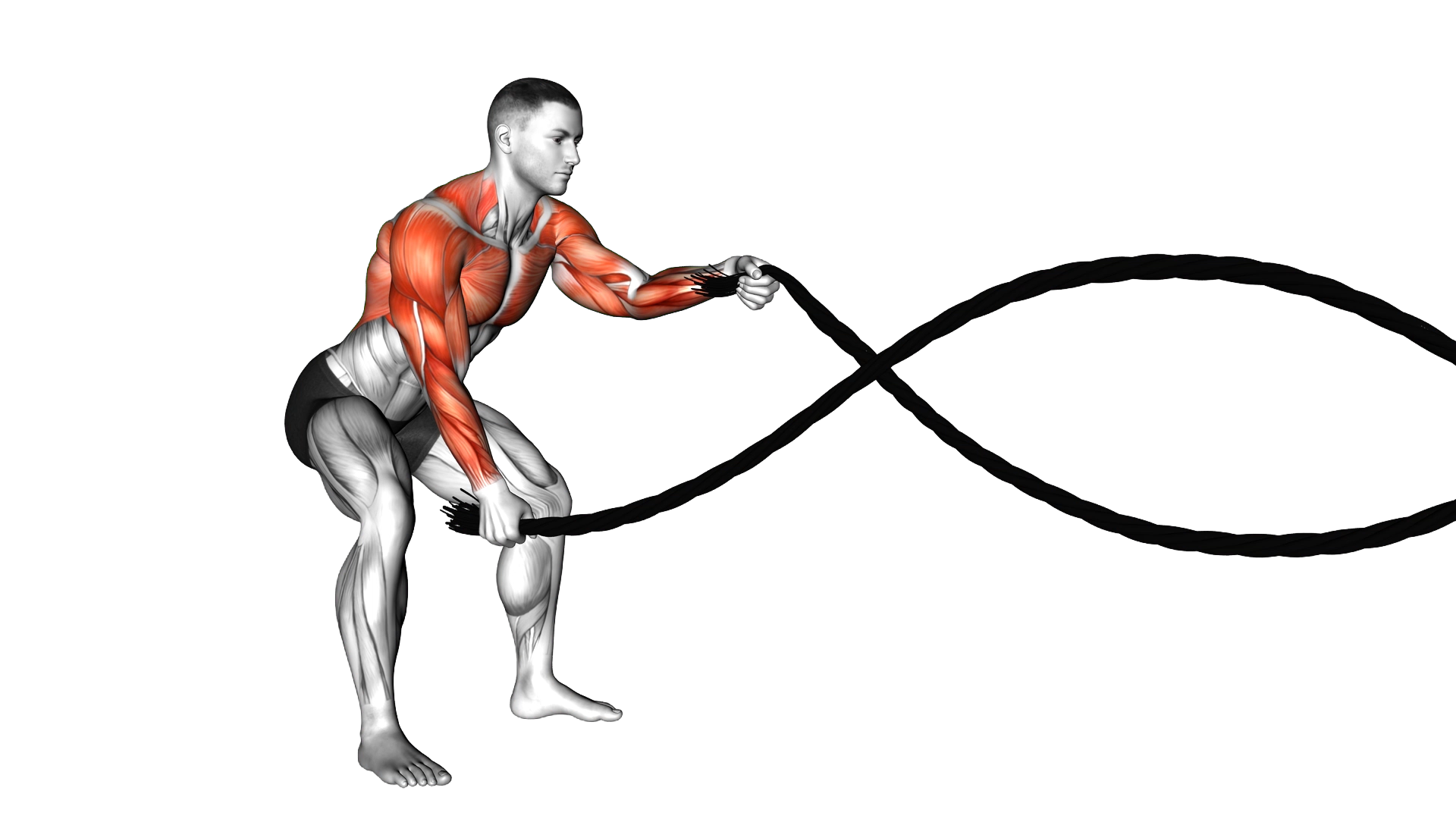 Battling Ropes exercise thumbnail