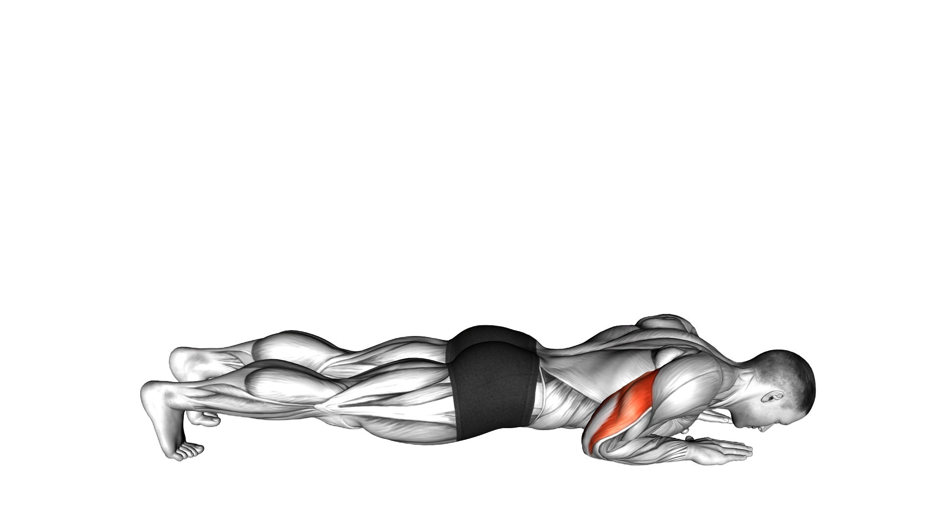 Body Up exercise demonstration