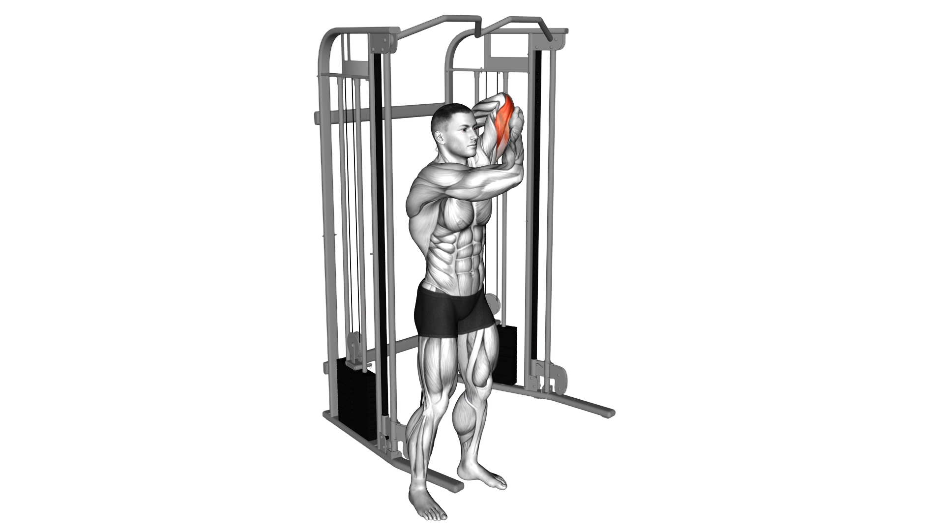 Cable Alternate Triceps Extension exercise demonstration