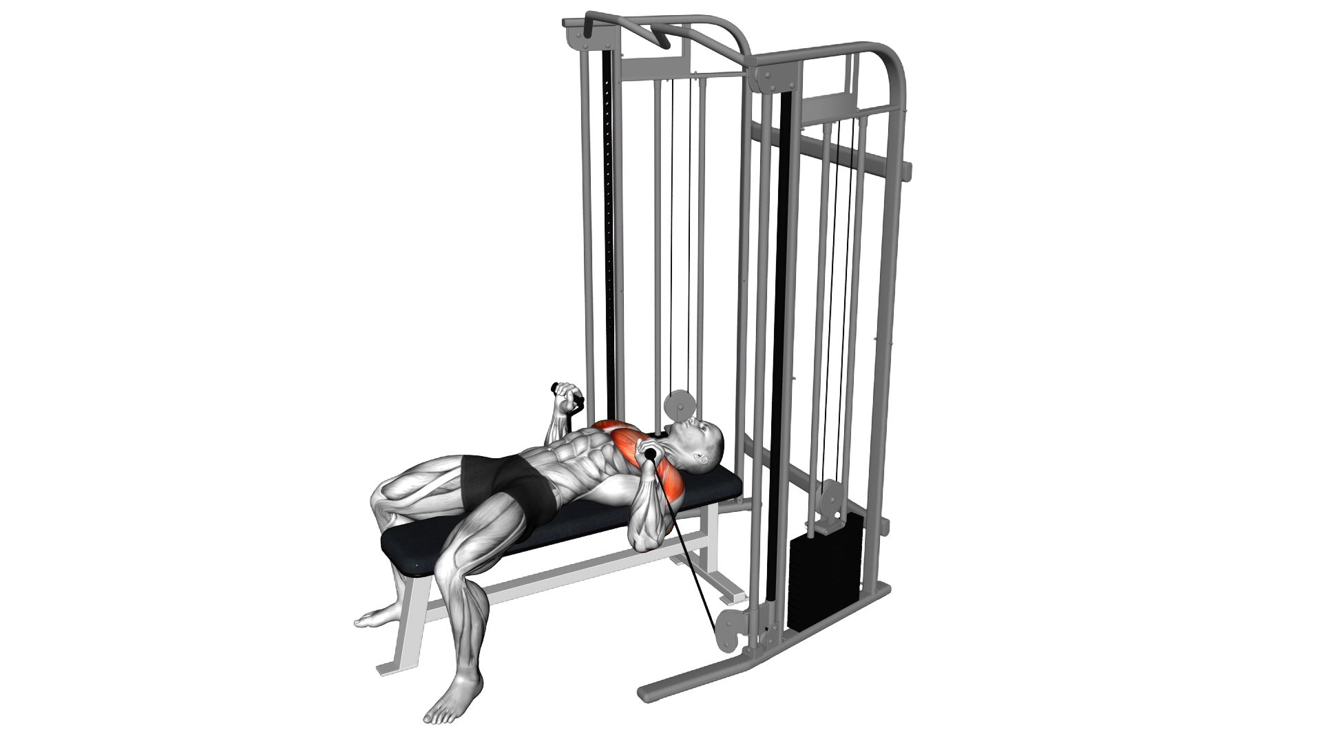 Cable Bench Press exercise demonstration