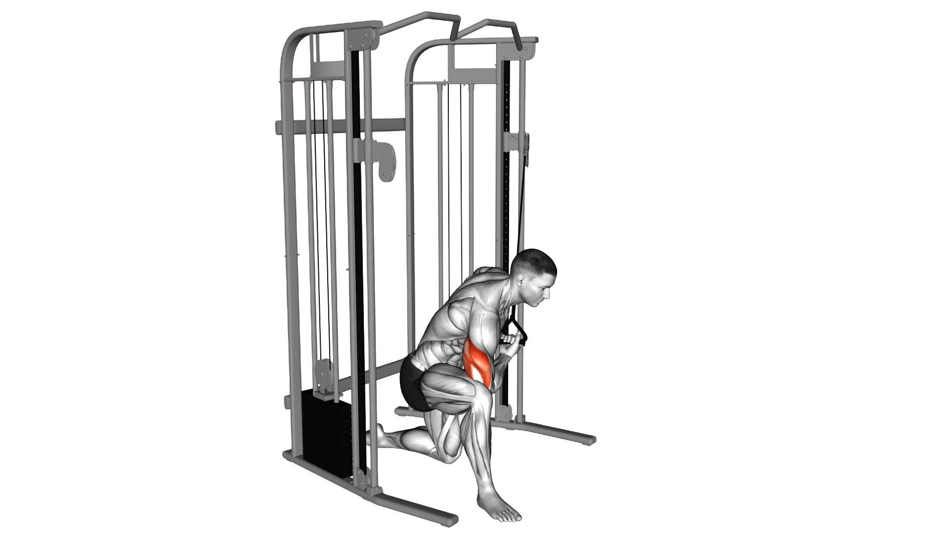 Cable Concentration Extension (on knee) exercise demonstration