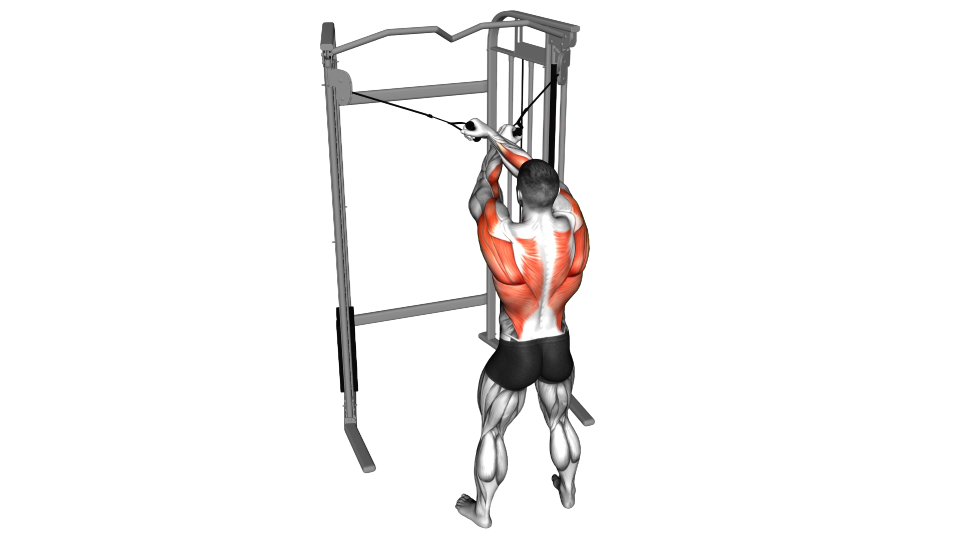 Cable Cross over Lateral Pulldown exercise demonstration