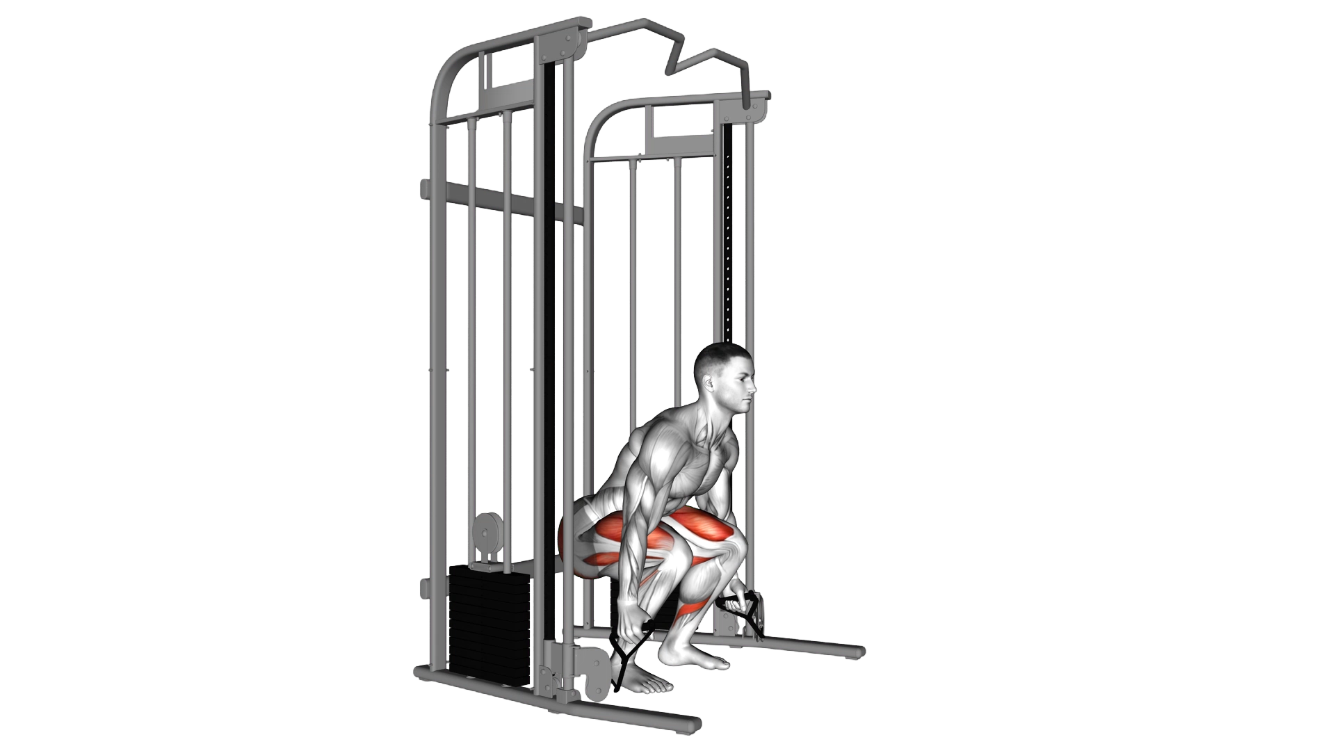 Cable Deadlift exercise demonstration