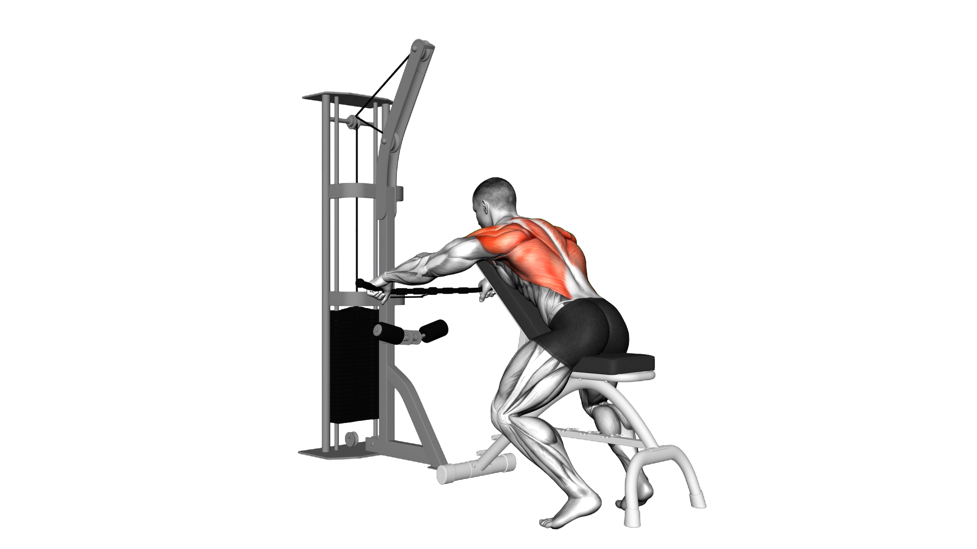 Cable Decline Seated Wide grip Row exercise demonstration