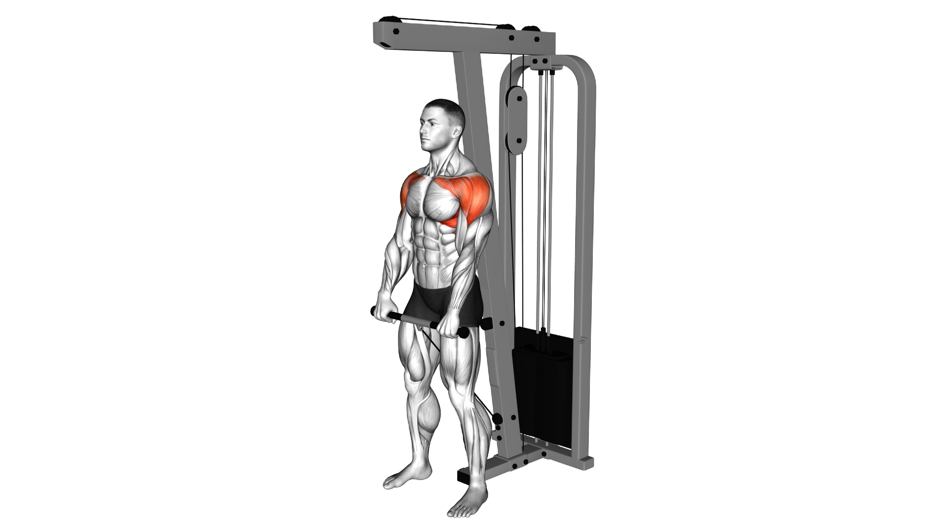 Cable Front Raise exercise demonstration