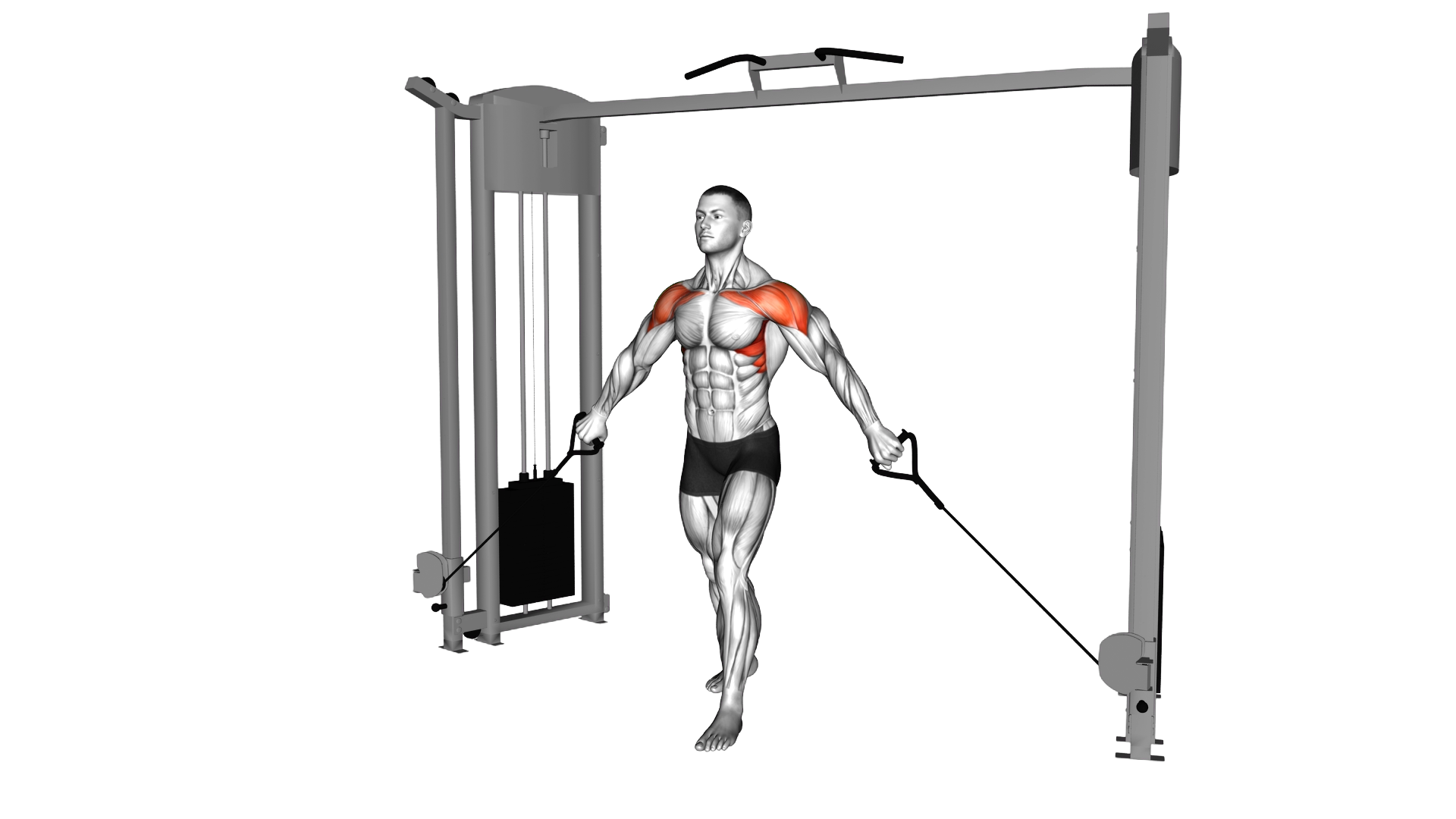 Cable Front Shoulder Raise exercise demonstration
