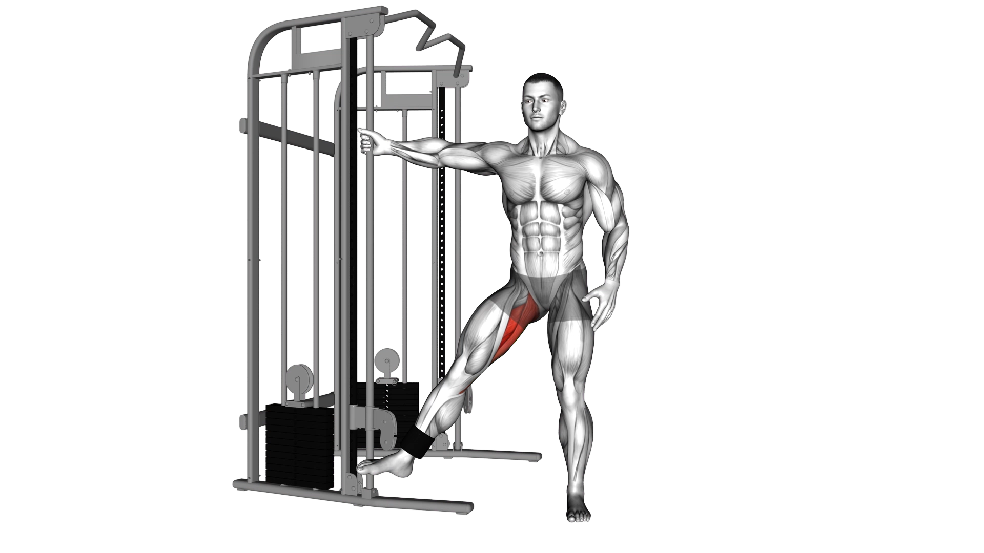 Cable Hip Adduction exercise demonstration