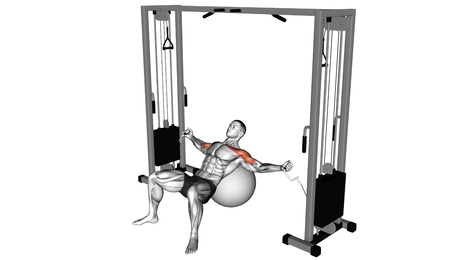 Cable Incline Fly (on stability ball) exercise demonstration