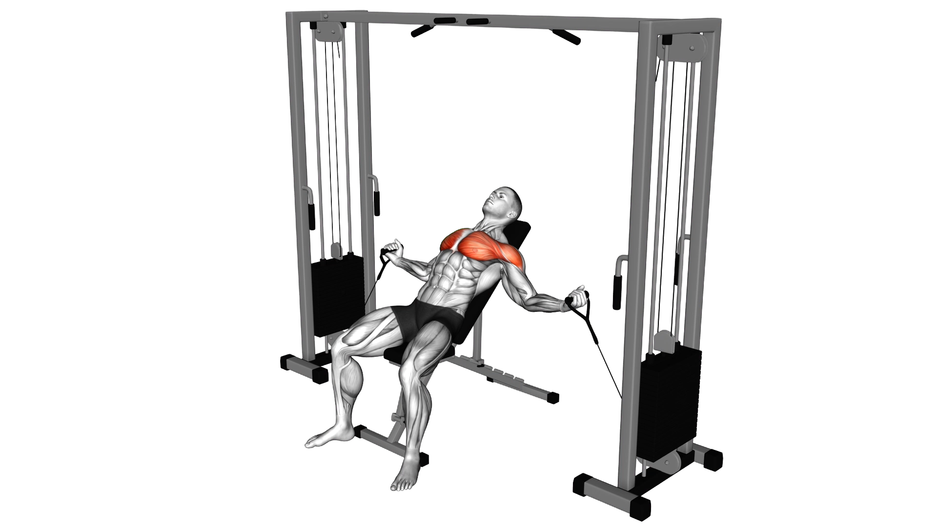Cable Incline Fly exercise demonstration