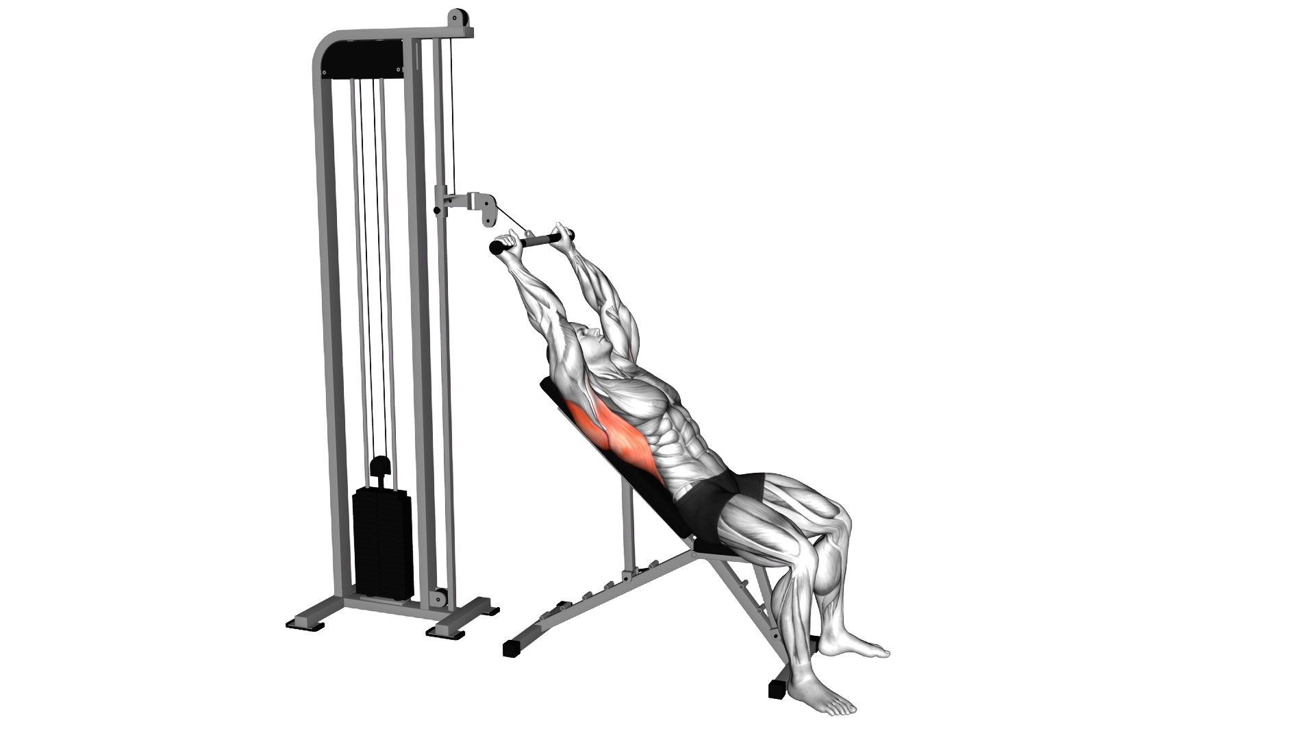 Cable Incline Pushdown exercise demonstration