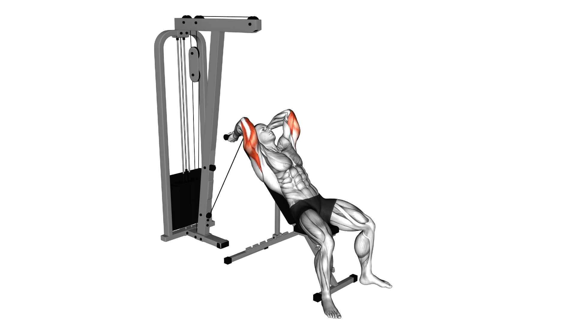 Cable Incline Triceps Extension exercise demonstration