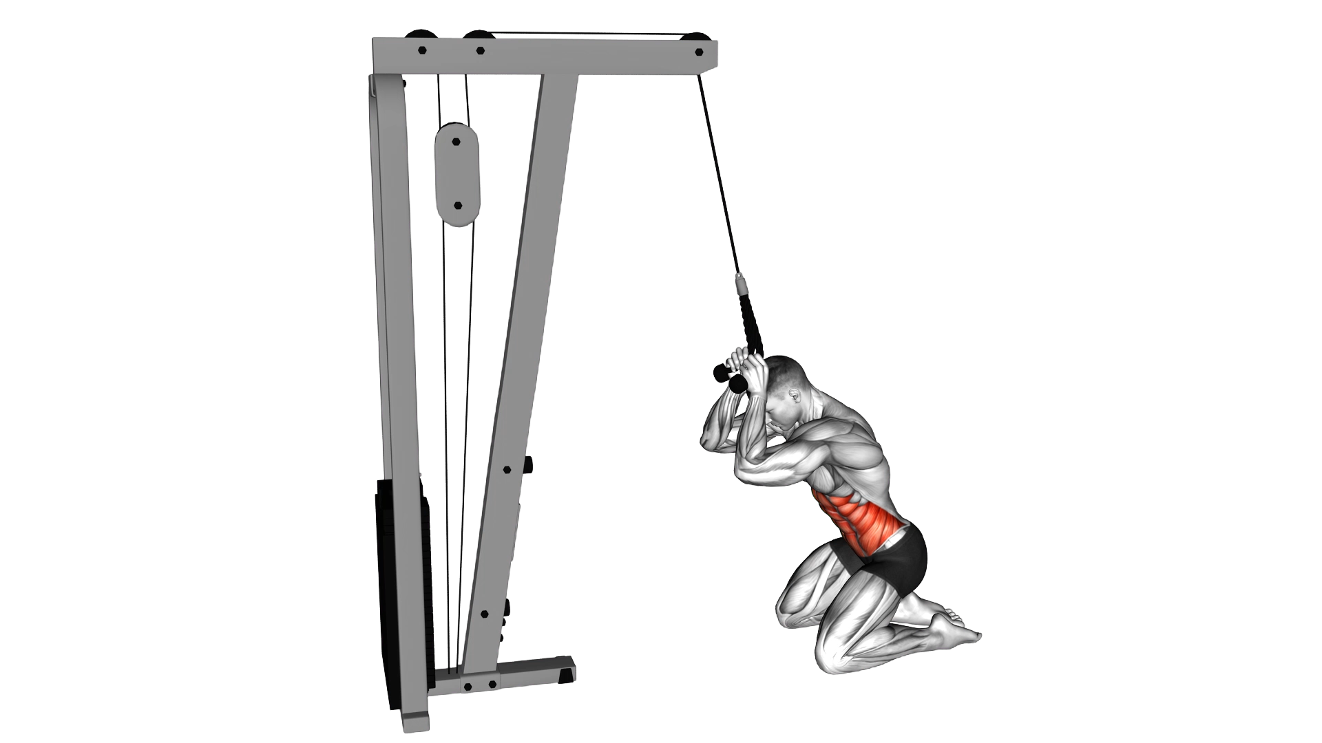 Cable Kneeling Crunch exercise demonstration